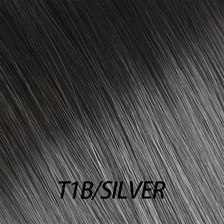 Lux Extensions Rallonges cheveux Noir brun argent #t1b/silver- bandes adhésives