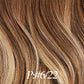 Lux Extensions Rallonges cheveux Brun Noisette- Blond Été #P6-22 CLIPS