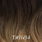 Lux Extensions Rallonges cheveux Noir brun blond doré T1b/14 U-TIP